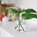 Clear Glass Vase, Large Flower Vase, 8-inch Glass Flower Vase for Plants, Wide Mouth Vase for Home, Wedding, Living Room, Dining Table