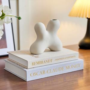 LMGOV Aesthetic Linen Decorative Fake/Faux Books for Coffee Table, Set of 2 Storage Boxs for Living Room, Morden Home Decor for Shelf, Bookshelf, Entryway, Nightstand, Mantle(Sky Blue)