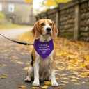 My Humans are Getting Married Dog Bandana - Purple Wedding Scarf Accessory for Small, Medium, Large Dogs - Engagement Gift for Dog Lovers (E45)