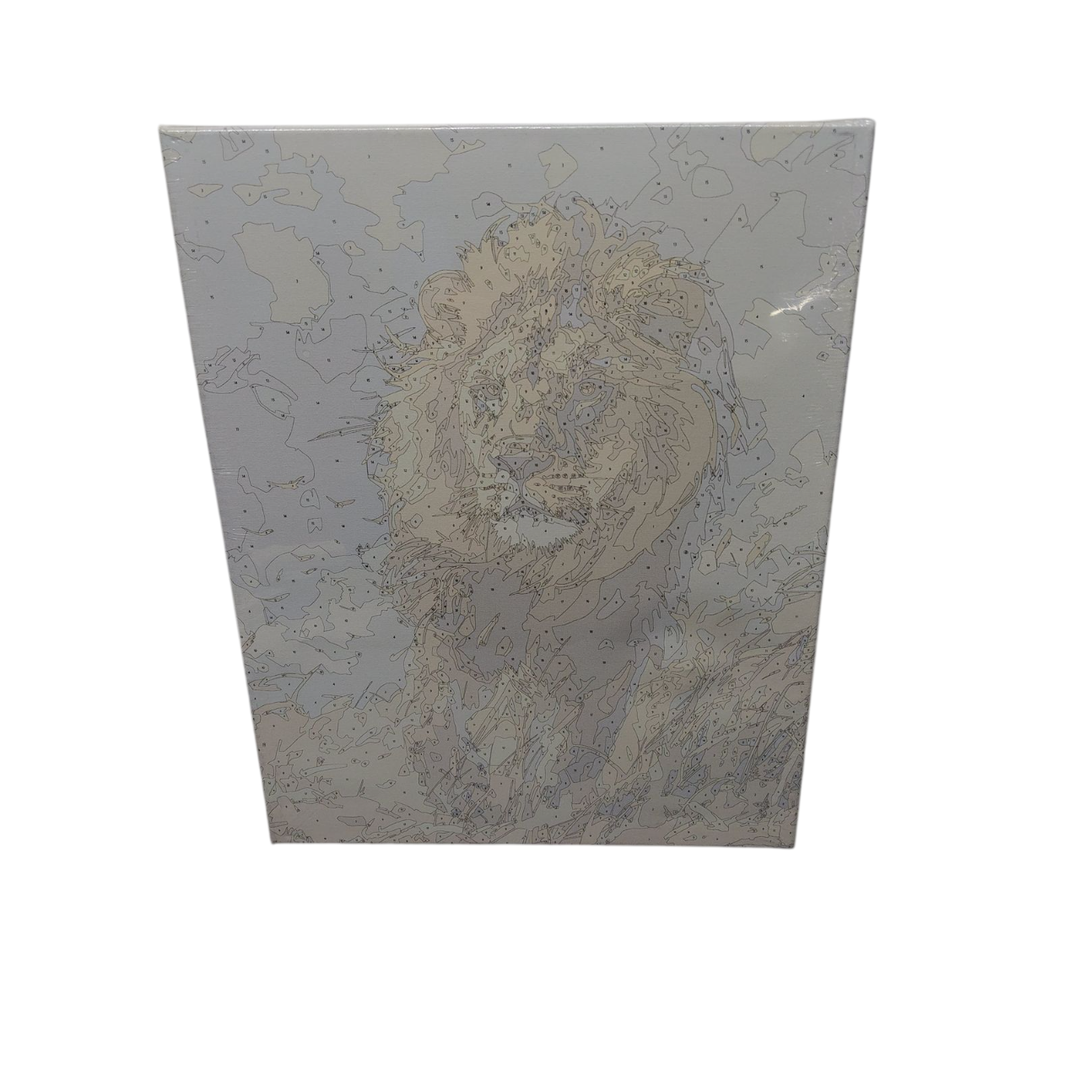 Paint by numbers,19,7x15,7 inch