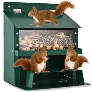 Squirrel Feeders for Outside, Metal Squirrel Feeder with Flip Lid, Large Transparent Bin, Outdoor Hanging Squirrel Feeder for Squirrel, Chipmunks, Wildlife, Great Gift for Mom & Nature Lovers