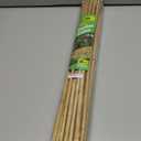Mininfa Natural Bamboo Stakes 2 Feet, Eco-Friendly Garden Stakes, Plant Stakes Supports Climbing for Tomatoes, Trees, Beans, Pack of 30
