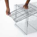 Havahart X-Large 1-Door Humane Animal Trap for Armadillos, Beavers, Bobcats, Cats, Dogs, Foxes, Groundhogs, Opossums, Racoons, and Other Larger-Sized Animals - Humane Catch and Release - 1081