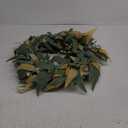 20 Inch Eucalyptus Greenery Wreaths for Front Door, Artificial Outdoor Spring Summer Wreath for Porch, Window, Farmhouse, Home Decor - All Seasons