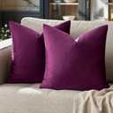 GIGIZAZA Purple Decorative Velvet Decorative 20x20 Throw Pillow Covers for Sofa Bed 2 Pack Soft Cushion Cover