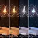 E26 ST64 Vintage Edison Light Bulbs, Smoky Grey Coated Glass, Dimmable, 4W(20W Equivalent) 150 Lumens, 2700K Soft White, Spiral Filaments Design, Antique Style, 25000 Hrs, 6-Pack