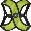 Gooby Comfort X Step in Lite Dog Harness - Choke Free, Escape Free with Light Breathable Mesh - Step in Dog Harness for Small Dogs Only - Quick Release Buckle, Metal D-Rings - Green, X-Large