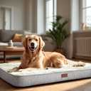 Deconovo Orthopedic Dog Bed for Medium & Large Dogs Supportive Memory Foam with Washable Cover, Non-Slip Base Comfort for Senior, Arthritic & Active Pets, White, 44" Lx32 Wx3 Th