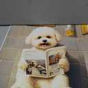 Bichon Frise on Toilet Unframed Wall Art Print Poster, Dog Bathroom Humor Decor Posters Prints for Restroom Home Picture Painting Artwork Gallery 7 (Bichon Frise, 20"L x 16"W, Unframed)