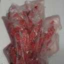 PINVNBY Aquarium Coral Decorations Artificial Coral Reef Decor Resin Fish Tank Plants Ornament Fish Tank Accessories for Aquarium Landscape (Red) (Style 1-red)