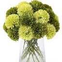 Kimura's Cabin 20Pcs Green Chrysanthemums Artificial Flowers Fake Silk Ball Flowers Mums Bouquets Arrangements Wedding Party Decor St Patricks Day Home Garden Table Centerpieces DIY Floral (Green)