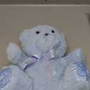 Chalyna 10 Inch Bear Stuffed Animal Gift First Bear Baby Shower Plush Toy for Wedding Birthday Back to School Gift(Blue)