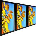 18x24 Picture Frame Black,Collage Wall Decor Studio Gallery Poster Frame