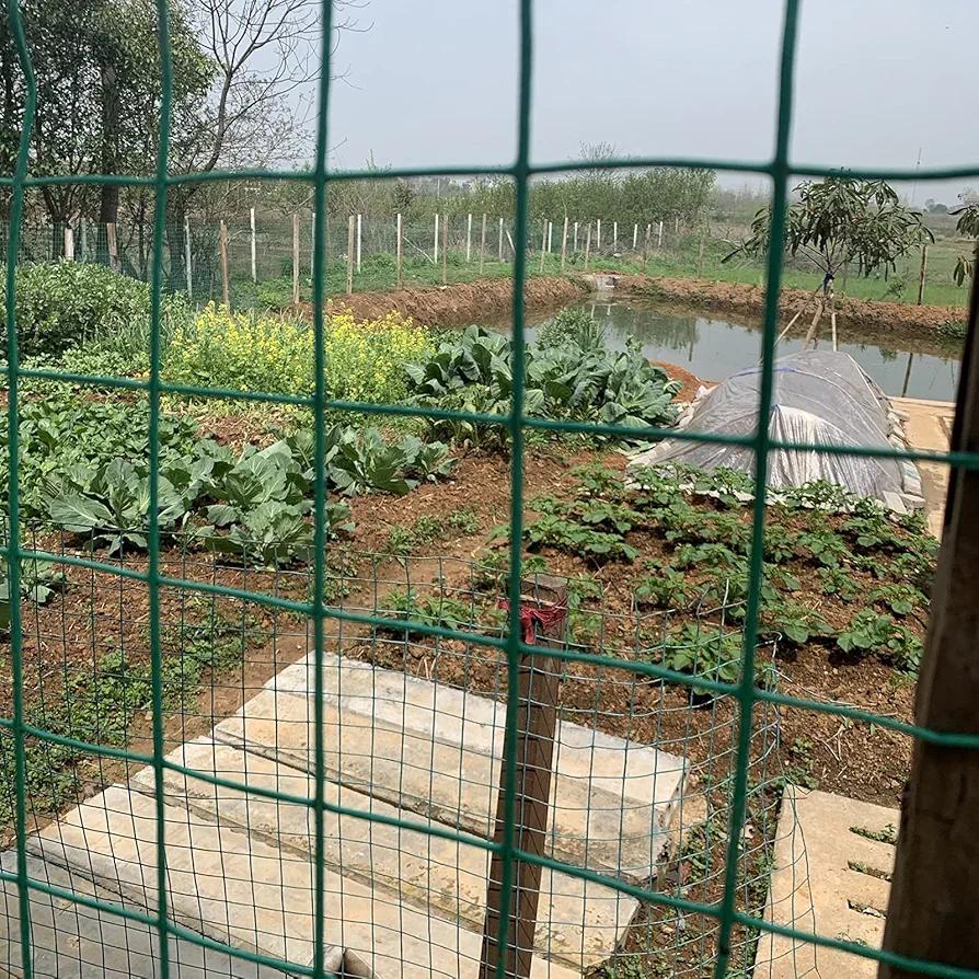 LFFH Wire Mesh Fence, 1.8X30m Square Mesh PVC Coated Green Fence Mesh Roll, for Garden Outdoors,Ordinary,2.3MM