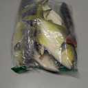 Nexboraque 8  Pack Fake Fish, 11 Inch Artificial Fish Models Simulated Pretend Realistic Fish Lifelike Sea Fish for Party Display, Kitchen Decor, Photography Props, 4 Types
