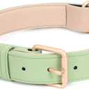 WHIPPY Leather Dog Collar for Medium  Dog Adjustable Soft Breathable Leather Padded Puppy Collar with Alloy Buckle Heavy Duty Waterproof Classic Dog Pet Collar, Green, M (M: Neck 16"-20", Width 0.98", F-green)