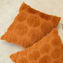 Pumpkin Fall Decorative Throw Pillow Covers 18"x18", Set of 2 Orange Soft Faux Fur Pillow Covers for Autumn Harvest, Fluffy Plush Accent Pillow Cases for Farmhouse Couch Cushion Covers