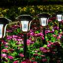 GIGALUMI 8 Pack Bright Solar Garden Lights