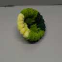 Bird Nest for Cage,Plush Hanging Bird Bed for Parakeet,Breeding Bird House for Conure,Budgie,Cockatiel,Lovebird,Canary,Finch,Hamster,Small Pets,Warm Nest (Green, S)