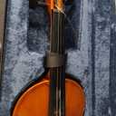 GKW 4/4 Students Beginner Violin Kit  Matte Finish Solid Wood Violin Set with Ebony Fingerboard, Carbon Fiber Tailpiece, Triangle Case, Bow, and Rosin for Students and Professionals