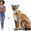 Cougar - Life Size Cardboard Cutout Standup People with Support Standee | Animals -