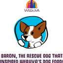 Weruva Dogs in The Kitchen, Variety Pack, Pooch Pouch Party!, Wet Dog Food, 2.8Oz Pouches (Pack of 12) (EXP 10/01/28)