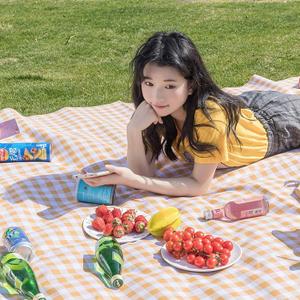 Thick Moisture-Proof Picnic Mat, 2m x 2m Portable Waterproof Outdoor Camping Mat for 5-8 People, Durable Picnic Blanket