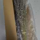 Dried Lavender 2 Bunches 100% Fresh Natural Purple Bouquet Flowers for Bathroom Photo Props Crafts Decoration, 15-17" for Shower Weeding Vase Decor, Home Fragrance(200-220 Stems(100g/3.5oz Total))