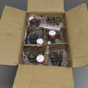 Otis Classic Swing Top Glass Bottles - Set of 6, 16oz w/Marker & Labels - Clear Bottle with Caps for Juice, Water, Kombucha, Beer Brewing, Kefir Milk or Eggnog