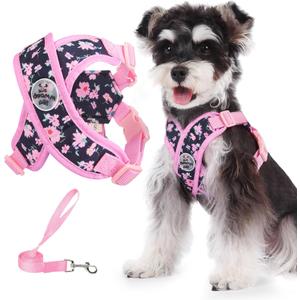 Patas Lague Dog Harness with Leash Set Adjustable Soft Padded Step-in Dog Vest No Choke No Pull Reflective for Small Medium Pets with Poop Bags and Dispenser, Solid and No-chew, Floral Pink M
