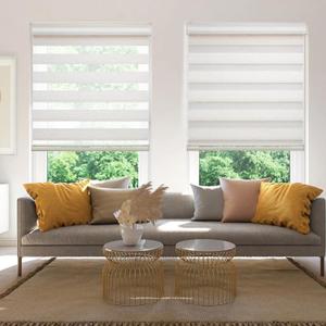 Changshade Cordless Zebra Blinds for Windows, Modern Dual Layer Zebra Blinds with Light Filtering & Privacy Control,Easy Install Zebra Blinds for Indoor Windows,35" W72" H,Beige