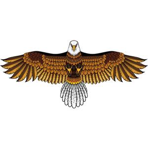 Bald Eagle Kite for Adults and Kids, Huge Kites Easy to Fly Single Line Kite for Beach Trip