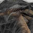 Half Wig Body Wave Human Hair 3 in 1 Glueless Wear 200% Density For Women Seamless Flip Over Drawstring Headband Wig Beginner Friendly 20inch