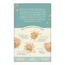 Bob's Red Mill Instant Oatmeal Packets, Classic, 6 Packets Total (1 Box/6 Packets per Box), Non-GMO, Gluten Free, Whole Grain (EXP 01/07/27)