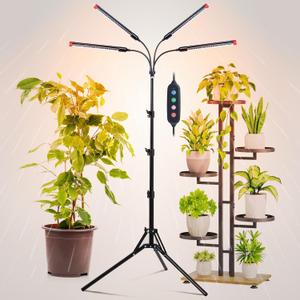 FRGROW 4Head Grow Light with Stand for Tall Indoor Plants, Bonsai Tree, Bright Full Spectrum Plant Growing Lamps, 4/8/12/16/20H Timer, 36 Watt Power Draw, NO Need Adapter, 360 Gooseneck