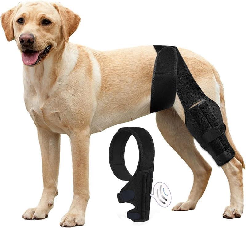 Medium Dog Leg Braces for Back Leg