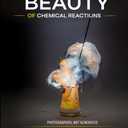 THE BEAUTY OF CHEMICAL REACTIONS