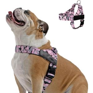 Dog Friendly Co. Dog Harness | Chafe Resistant Webbing, Adjustable Neck & Chest, and Heavy Duty D-Ring | Sturdy, Comfortable, Easy to Use | Pink Camo, Size L