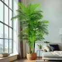 6FT Artificial Palm Tree - Tropical Faux Golden Cane Palm Tree UV Resistant Tall Fake Plant Indoor with Black Pot for Home Office Living Room Indoor Outdoor Decor Housewarming Gift