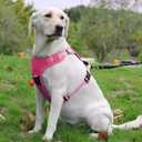 Pink Tactical Dog Vest Harness with Airtag Holder, No-Pull Service Working Dogs Jacket with Handle, Escape Proof Freedom Outdoor Easy Walk Harness with Front Clip for Large Breeds,XL