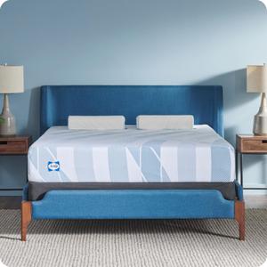 Sealy Dreamlife 10” Foam Mattress-in-a-Box, Twin, SealyComfort Gel Memory Foam, Surface-Guard Technology 