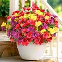 Dolicer 6 Bundles Look Real Artificial Flowers for Outdoors, Realistic Fake Outdoor Flowers, UV Resistant Outdoor Artificial Flowers Silk Faux Flowers for Outdoor Planters Porch Patio Yard Window Box (Yellow+red+purple)