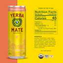 Yerba Madre Organic Sparkling Yerba Mate, Grapefruit Ginger, 80mg Natural Plant Based Caffeine, Smooth Energy & Focus, Carbonated, 12 Oz (Pack of 12) (Packaging May Vary)