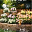 GIGALUMI Solar Garden Lights, 2 Pack LED Lily Garden Decor Carefree Solar Flowers Outdoor Waterproof, Yard Decorations Outdoor, Allergy-Free Light up Flowers for Yard Patio (1White,1Pink)