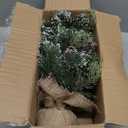 Deeinglif 2ft Mini Christmas Trees 24" with LED Lights and Pine,Tabletop Branches Cones and Cloth Bag Base Home Party Dining Room Window Decoration for Christmas