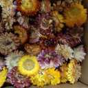 Natural Dried Flowers for Crafts, Mixed Daisies & Sunflower Heads, Chrysanthemum Petals for Candle Making, Wreaths, Wedding Decor, DIY Crafts (100-120)