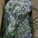 50 Pcs Babys Breath Artificial Flowers, Baby Breath Flowers Artificial Bulk, Real Touch White Fake Flowers, Faux Babies Breath Gypsophila for Wedding Home Decor Floral Arrangement