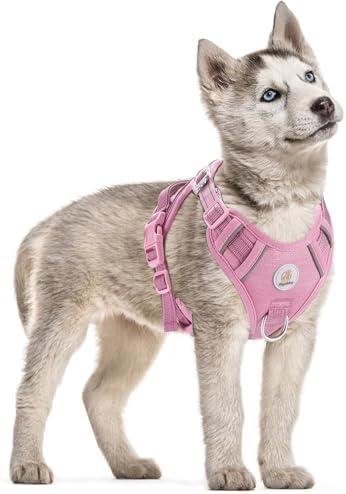 Hipubby Dog Harness Small Sized Dog, No Pull Pet Harness with 2 Metal Rings and Control Handle, Adjustable Soft Dog Vest with Reflective Strips, Easy Walking and Training for Small Dogs, Pink, S