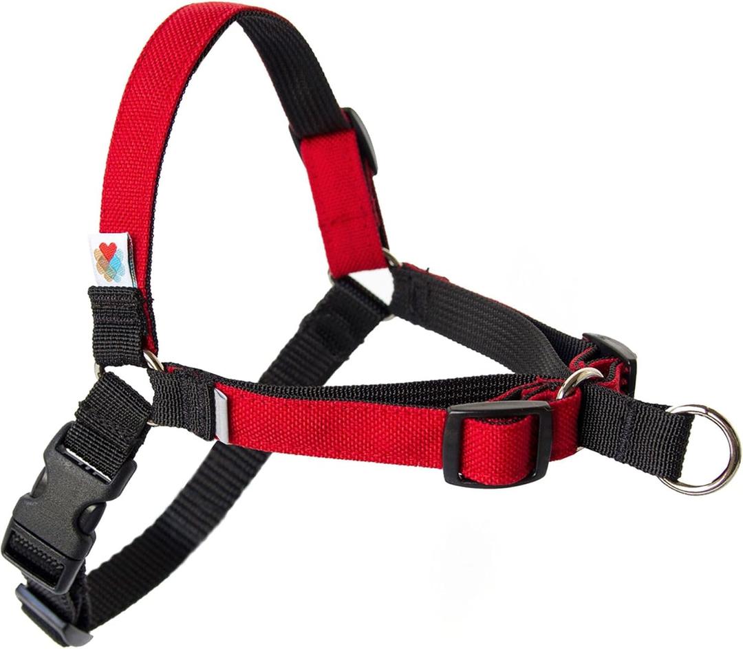Wildebeest No Pull Dog Harness | Comfortable Training Harnesses | Effective No Pull Harness Design | Ideal for Medium Sized Dog | 4-Point Adjustable(M - 22~28 inch Girth, Red)