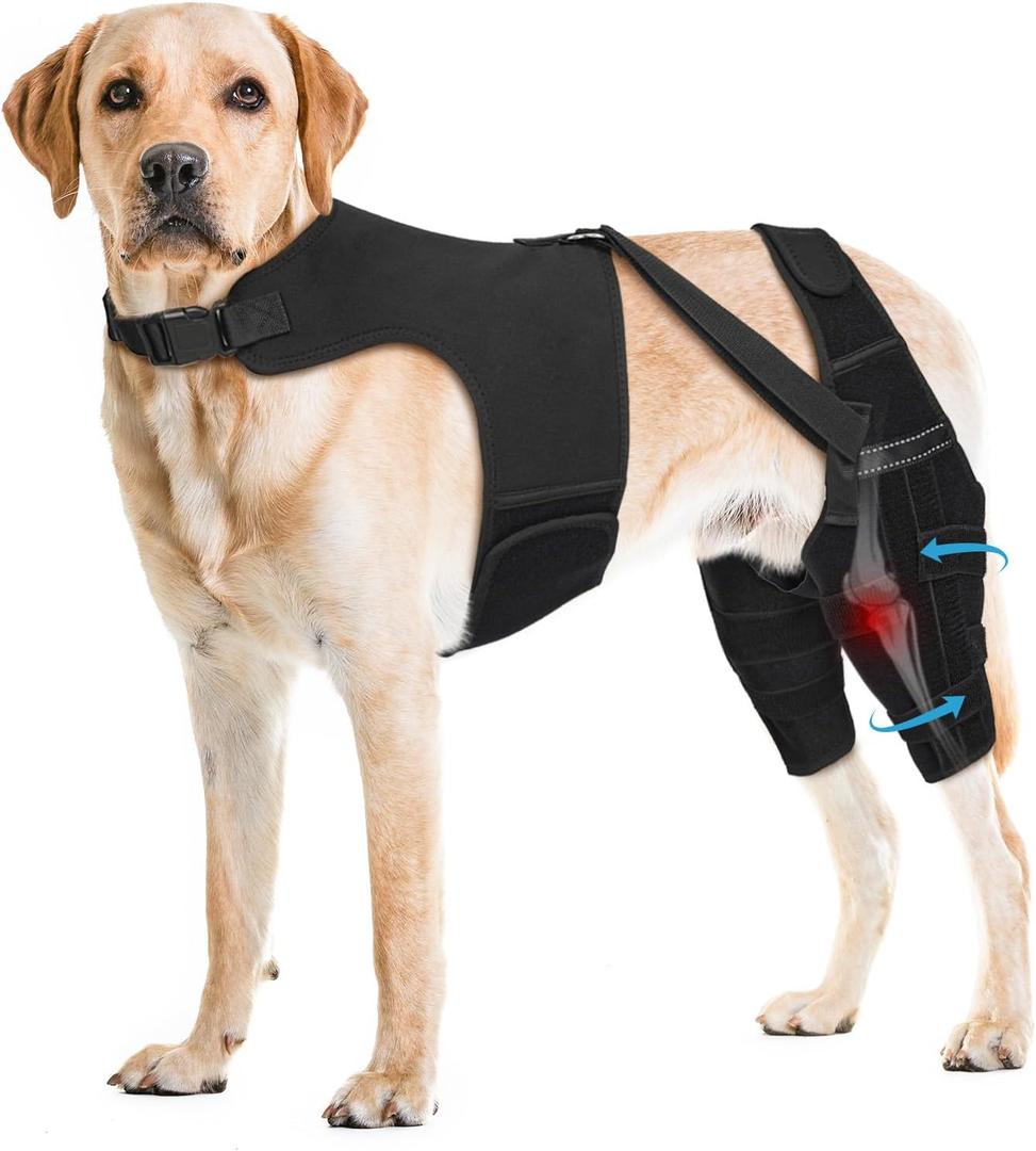 Dog Knee Brace for Torn ACL Hind Leg, Adjustable Dog Leg Braces for Back Leg with 4 Metal Stabilizers Helps with Torn CCL, Luxating Patella, Ligament Injuries, Hip Dysplasia,XXL